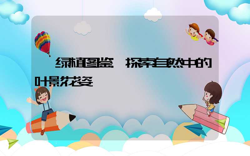 绿植图鉴:探索自然中的叶影花姿